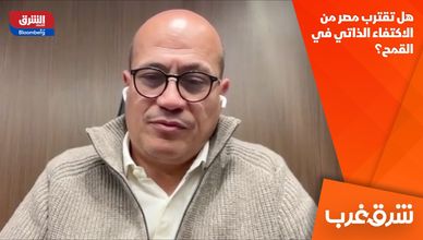 هل تقترب مصر من الاكتفاء الذاتي في القمح؟