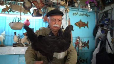 عبد السلام الطرابلسي "محنط الحيوانات"