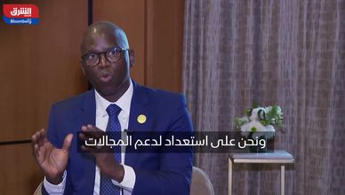 البنك الدولي يدرس توسيع محفظته الاستثمارية في مصر