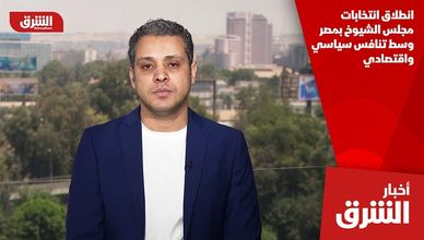 انطلاق انتخابات مجلس الشيوخ بمصر وسط تنافس سياسي واقتصادي