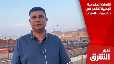 القوات الحكومية اليمنية تتقدم في ذباب وباب المندب