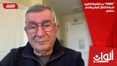 "H5N5" من إنفلونزا الطيور نادرة الانتقال للبشر والخطر منخفض