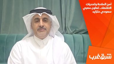أمن الملاحة وتحديات الاقتصاد.. تعاون مصري سعودي متزايد