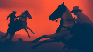 قصة الخيل الأميركي