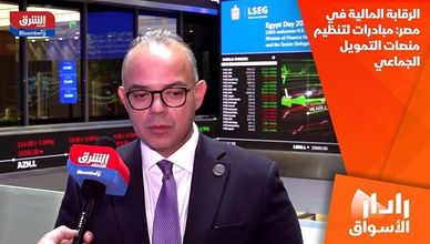 الرقابة المالية في مصر: مبادرات لتنظيم منصات التمويل الجماعي