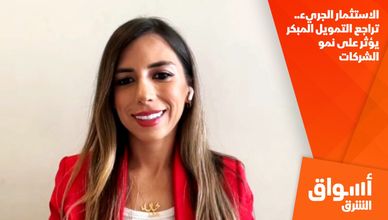 الاستثمار الجريء.. تراجع التمويل المبكر يؤثر على نمو الشركات