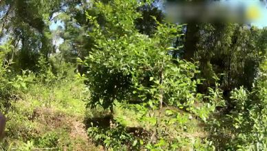 رهائن الحافلة