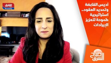 أديس القابضة وتمديد العقود.. استراتيجية طموحة لتعزيز الإيرادات