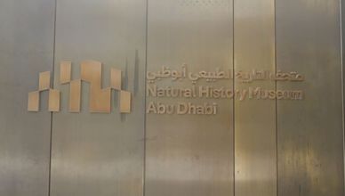 متحف التاريخ الطبيعي في أبوظبي.. رحلة علمية من نشأة الأرض إلى مستقبل الكوكب