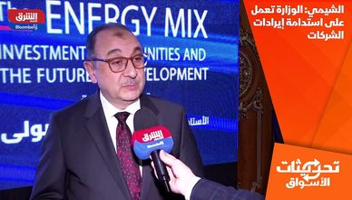 الشيمي: الوزارة تعمل على استدامة إيرادات الشركات