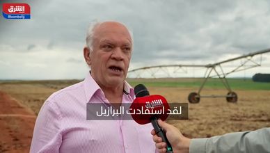 فول الصويا يضع البرازيل في صدارة الزراعة العالمية