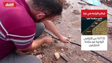 قطاع الزراعة في غزة.. تقرير منظمة "فاو"