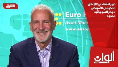 خبير اقتصادي: الإغلاق الحكومي الأميركي لا يضر النمو وأثره محدود