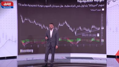 سهم "أمريكانا" قرب أدنى مستوياته.. و"النهدي" يحقق مكاسب