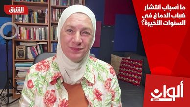 ما أسباب انتشار ضباب الدماغ في السنوات الأخيرة؟
