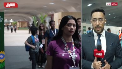 "كوب 30" تناقش تمويل صندوق خاص لحماية الغابات الاستوائية