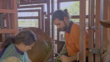 مفاجأة مالية