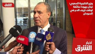 وزير الخارجية المصري: نبذل جهودا مكثفة لوقف نزيف الدم في السودان