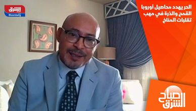 الحر يهدد محاصيل أوروبا.. القمح والذرة في مهب تقلبات المناخ