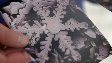 بسكويت الزنجبيل