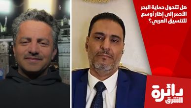 هل تتحول حماية البحر الأحمر إلى إطار أوسع للتنسيق العربي؟