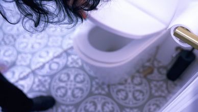 مفترس الحديقة