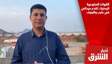 القوات الحكومية اليمنية.. تقدم ميداني في مأرب والجوف