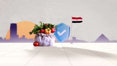 سلامة الغذاء في مصر.. استراتيجية طموحة لمواجهة التحديات