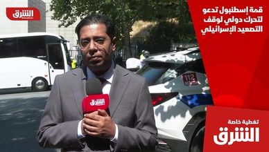 قمة إسطنبول تدعو لتحرك دولي لوقف التصعيد الإسرائيلي