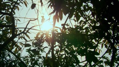 ملوك الخداع