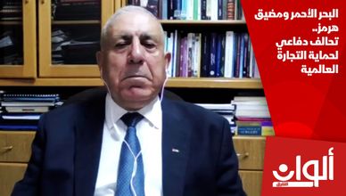 البحر الأحمر ومضيق هرمز.. تحالف دفاعي لحماية التجارة العالمية