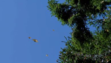 قدرات تفوق التوقعات