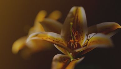 معركة الأمن الغذائي