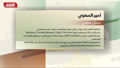 أمير المصري.. مسيرة لافتة من السينما المصرية إلى الأدوار العالمية