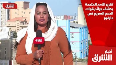 تقرير الأمم المتحدة يكشف جرائم قوات الدعم السريع في دارفور