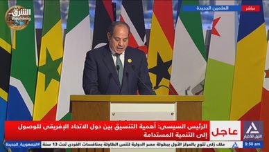 الرئيس المصري: التدخلات الخارجية والنزاعات تفاقم تحديات إفريقيا