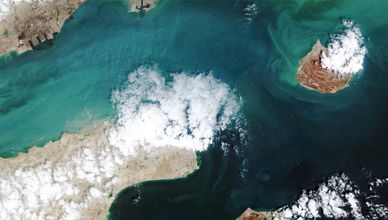 فتح مضيق هرمز.. استجابة الأسواق