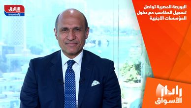 البورصة المصرية تواصل تسجيل المكاسب مع دخول المؤسسات الأجنبية