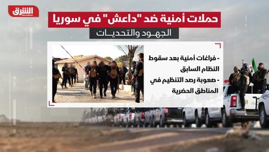 حملات أمنية ضد داعش في سوريا.. الجهود والتحديات