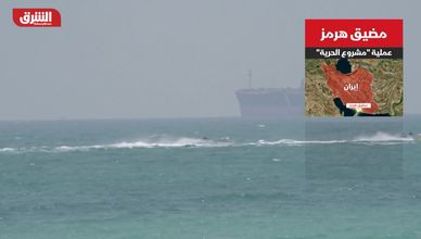 مضيق هرمز.. عملية "مشروع الحرية"