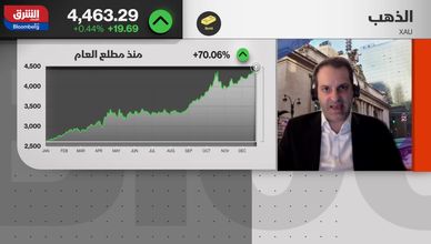 هل تستمر مكاسب المعادن النفيسة بعد عام استثنائي؟