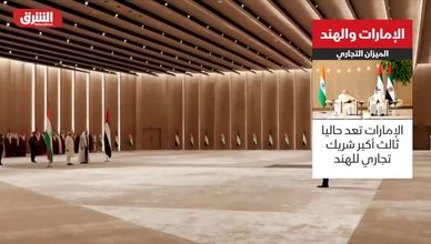 الإمارات والهند.. شراكة تاريخية وتجارة بـ100 مليار دولار