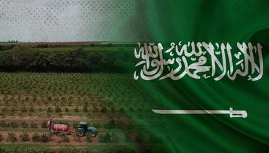 السعودية ضمن أبرز 10 وجهات للزراعة البرازيلية