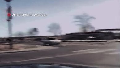 مطاردة قاتلة