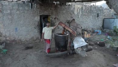 زيت السمسم كما كان يصنعه الأجداد