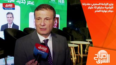 وزير الزراعة المصري: صادرتنا الزراعية ستبلغ 12 مليار دولار نهاية العام