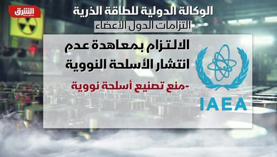 الوكالة الدولية للطاقة الذرية.. التزامات الدول الأعضاء