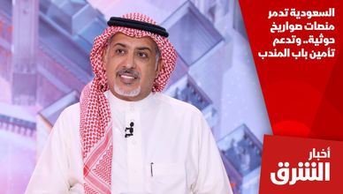 السعودية تدمر منصات صواريخ حوثية.. وتدعم تأمين باب المندب