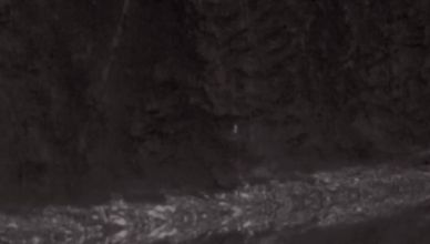 عواءات مرعبة