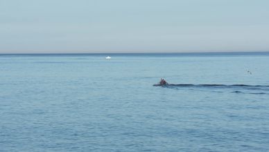 خيوط التهريب